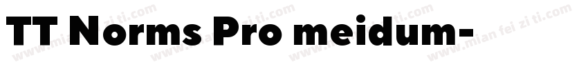 TT Norms Pro meidum字体转换